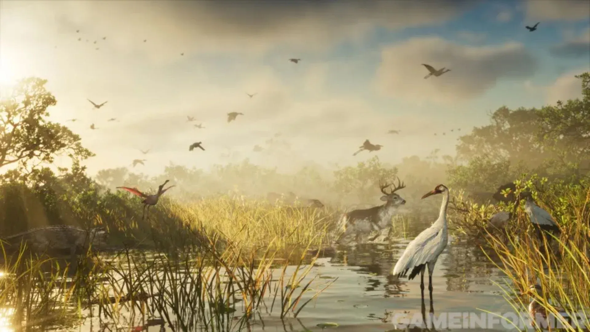 Un marais baigné de lumière dorée, où un cerf se tient dans l’eau au milieu d’échassiers et de nuées d’oiseaux.