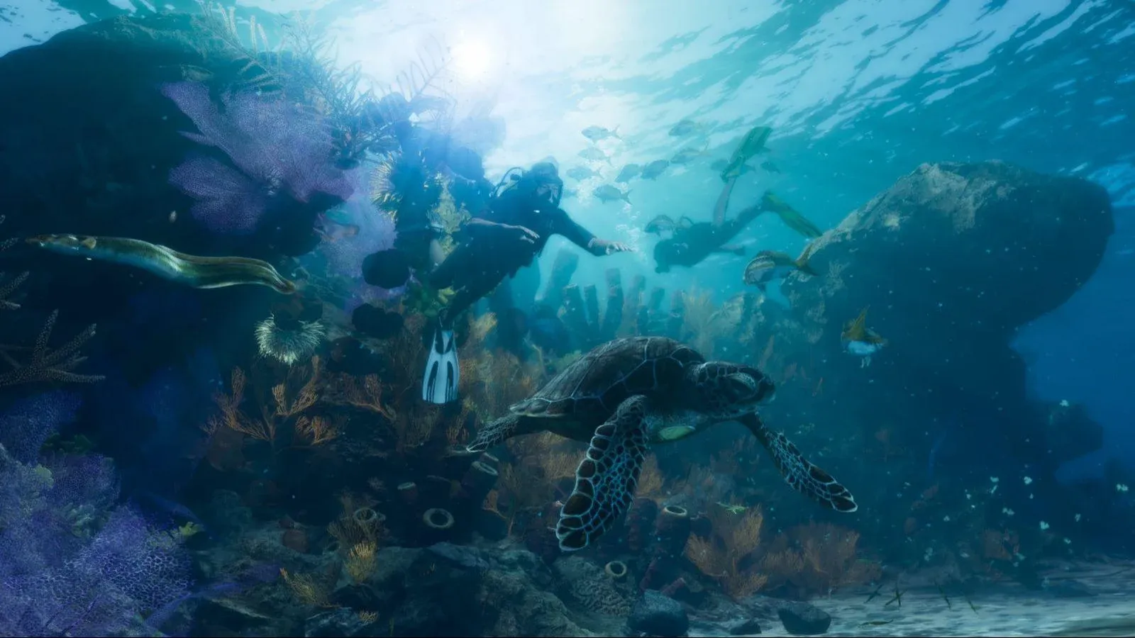 Des plongeurs et une tortue de mer au milieu des coraux, sous une eau claire.