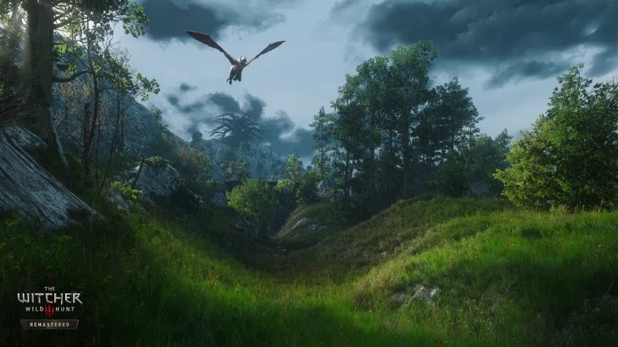 Après : le même vallon dans The Witcher 3 Remastered, éclairé par le soleil, avec une herbe plus fournie et fleurie, des rochers plus détaillés et une créature ailée qui survole la scène.