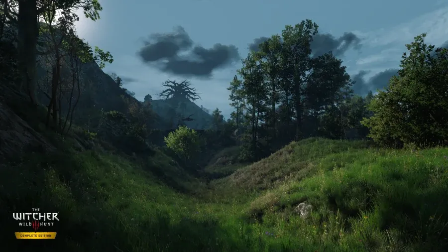 Avant : un vallon herbeux au pied d’une forêt dans The Witcher 3 Complete Edition, sous une lumière terne de fin de journée, avec un arbre géant tordu sur la colline au loin.